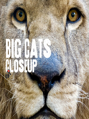 cover image of Big Cats CloseUp